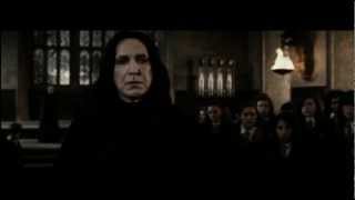 Severus Snape  Without You [upl. by Aneeh]