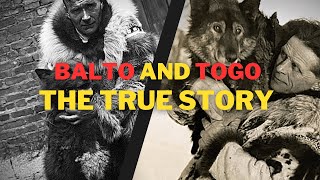 Unbelievable RealLife Adventure Balto amp Togos Epic Journey [upl. by Prunella511]