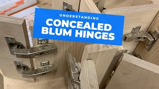 All the main Blum hinge types explained [upl. by Garik]