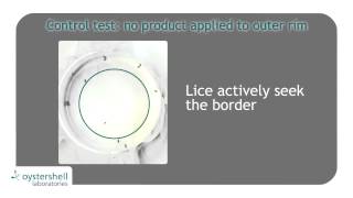 Aversive effect of LPF™ to lice [upl. by Moth850]