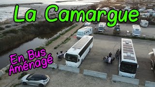 La Camargue [upl. by Ahsimrac]