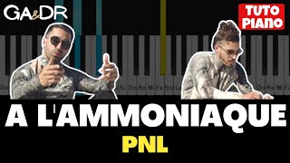 PNL  A lAmmoniaque  PIANO COVER TUTORIAL   GaampDr Piano [upl. by Asertal]