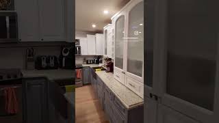 Thermofoil Kitchen Cabinet Refinishing in Miami Before amp After [upl. by Oettam]