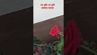 কে তুমি কে তুমি আমায় ডাকো।শ্রীকান্ত । হেমন্ত মুখার্জী। shorts l sristi123 l SRISTI I Ratan Samanta [upl. by Bourque]