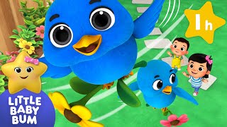 Two Little Dickie Birds  Animal Songs  Little Baby Bum [upl. by Corinna]