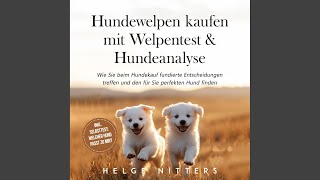 Kapitel 72  Hundewelpen kaufen mit Welpentest amp Hundeanalyse Wie Sie beim Hundekauf fundierte [upl. by Natehc]