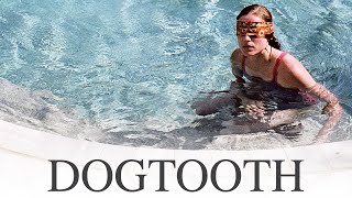 Dogtooth  Official Trailer  Yorgos Lanthimos [upl. by Rednaskela452]