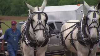 Middle Tennessee Mule Skinners  Tennessee Crossroads  Episode 26021 [upl. by Lamberto866]