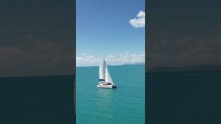 HAVE YOU SEEN THE WHITSUNDAY ESCAPE FLEET [upl. by Harry]