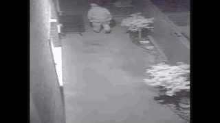 Armed robbery suspects wanted in Whitestone home invasion [upl. by Hnah191]