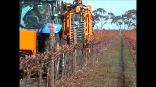 Pellenc TRV60 with Visio Pruning Machinewmv [upl. by Ebony]