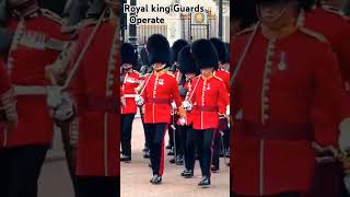 Royal King Guards Operate guard respect power [upl. by Walden]