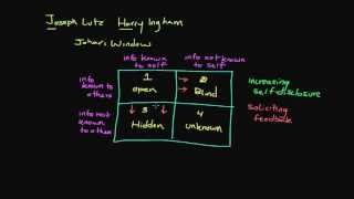 The Johari Window [upl. by Eslehc]