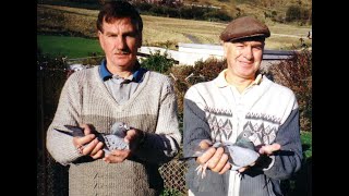 Video 71 Preece Brothers of Wales Premier Pigeon Racers [upl. by Niveek]