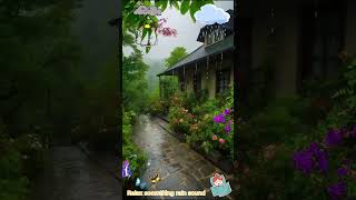 relax naturesound nature sleep rain viralvideo [upl. by Yaker396]