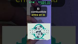 Bomba de lóbulos 1F Bombas eléctricas de combustible tipos localización y averías electromotriz [upl. by Osnohpla820]