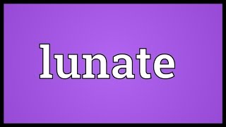 Lunate Meaning [upl. by Seel13]