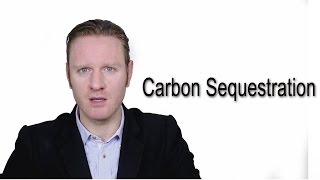 Carbon Sequestration  Meaning  Pronunciation  Word World  Audio Video Dictionary [upl. by Naloj162]