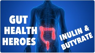 Gut Health Heroes  Inulin amp Butyrate [upl. by Bianchi]