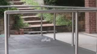 How to Install DIY Stainless Steel Posts and Handrails [upl. by Asyral]