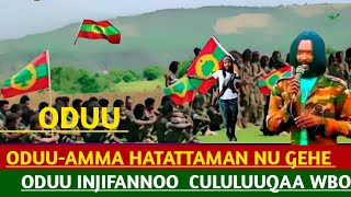 OduuAmmee Injifannoo Cululuqaa WBO Ammee Afaan Oromoo   2024  ‎AniAnale1ls [upl. by Charo]