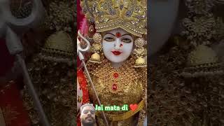 Maa bhakti div Vaishno Devi New viralvideo love maavaishnodevibhawan [upl. by Battat]