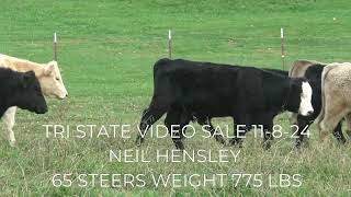 TRI STATE VIDEO SALE 11824 [upl. by Trebron]