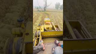 Nigah rakhan mere te amrika too america harvest punjab punjabisong [upl. by Gnouhp]