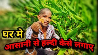 हल्दी कैसे तैयार होता है ✔️🔴  How is turmeric prepared  vlogs2024 vlogger india viralvlog [upl. by Sherer]