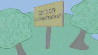 Carbon Sequestration 101 [upl. by Bartholemy]