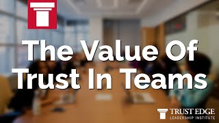 The Value Of Trust In Teams  David Horsager  The Trust Edge [upl. by Esserac]