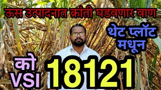 ऊस वाण 18121 या दुप्पट उत्पन्न देणाऱ्या जातीची संपूर्ण माहिती  थेट प्लॉट मधून  कष्टाची शेती [upl. by Aitetel]