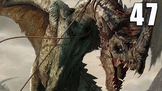 Witcher 3 Wild Hunt  Part 47  Dummies and Dragons  No Commentary [upl. by Arndt]