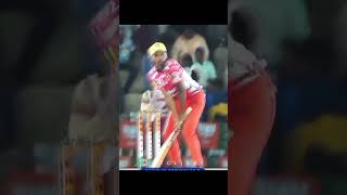 SHAHPURCHA DHONI GANESH DINGORE  7t7t cricket trending cricketlover murbad shahapur ipl [upl. by Einneg]