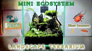 Terrarium  Nano Landscape Ecosystem 🌍 🌱 🐜 🐌 🐞  terrarium hardscapedesign ecosystem [upl. by Asyral]