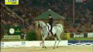 Amazing dacing white horse You must see this best video [upl. by Thin150]