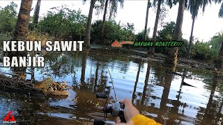 Meranduk HARUAN kebun sawit banjir  Casting Haruan Exp TT II Frog [upl. by Lorrie]