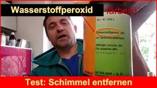 Test Schimmel entfernen mit Wasserstoff Peroxid [upl. by Anitnahs]