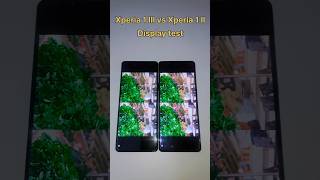 Xperia 1iii vs Xperia 1ii  Display test xperiafan sonyphone sonyxperia [upl. by Martina455]