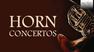 Horn Concertos [upl. by Dranoel]