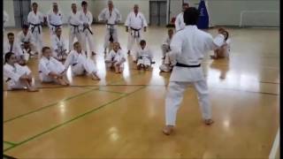 Bassai Dai Kawasoe Sensei JKA Shotokan Ireland May 2016 [upl. by Babb]