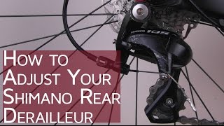 How to Adjust your Shimano Rear Derailleur  CGT  Bike School [upl. by Nolek186]