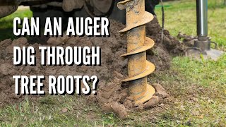 Can an Auger Dig Through Tree Roots [upl. by Kelsy]