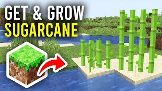 How To Get amp Grow Sugarcane In Minecraft  Full Guide [upl. by Ernald540]