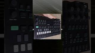 Elektron Responds shorts [upl. by Jerrie]