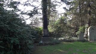 hamburg friedhof ohlsdorf caroline brahms remix [upl. by Kali]