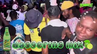 DAGGERING  DJ OCCULT MIX 2019 Dancehall reggae riddim [upl. by Novanod]