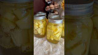 How to can fresh pineapple for long term food preservation🍍 canning homestead pineapple easy [upl. by Ronoh322]