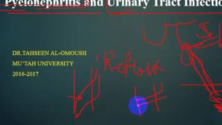 Pathology  dr Tahseen  Pyelonephritis  Acute amp chronic  Nephrosclerosis باثولوجي [upl. by Champagne]