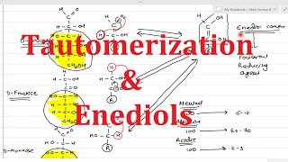 7 Reactions of Monosaccharides Part1  Tautomerization  Enediols [upl. by Innep94]